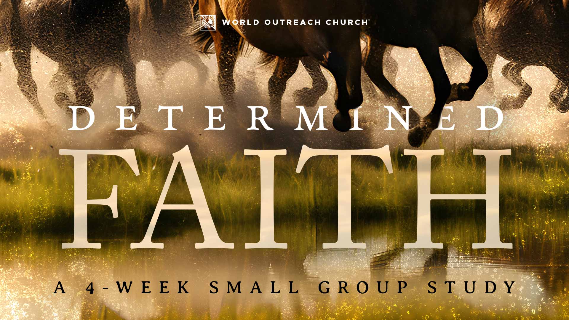 Determined Faith SG Study